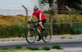 Desafio Nuts 2024