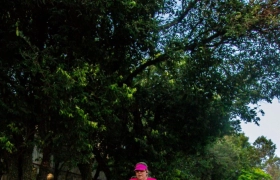 Desafio Nuts 2024