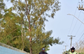 Desafio Nuts 2024