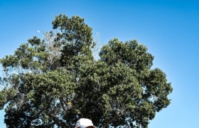 Meia Maratona da Serra 2025